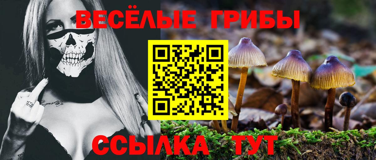 Галлюциногенные грибы Cubensis Волгодонск
