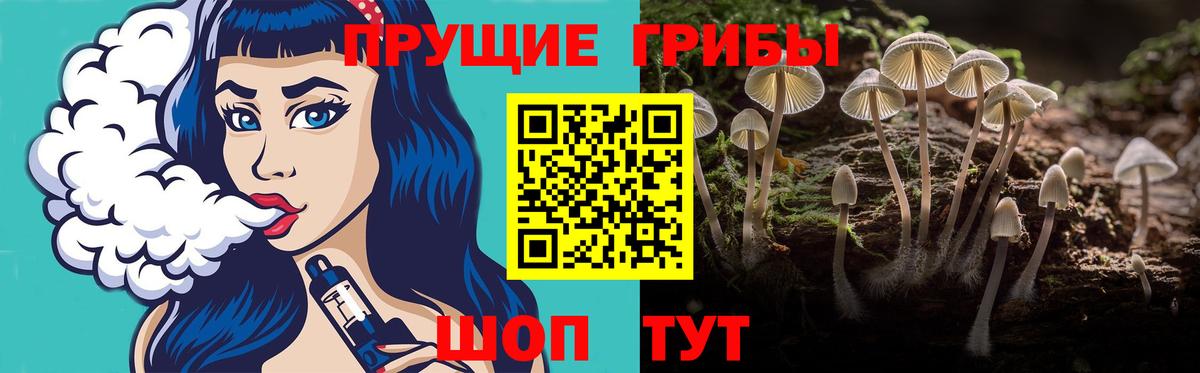 Волгодонск  Псилоцибиновые грибы Cubensis  Вход с VPN  Псилоцибиновые грибы мицелий 